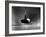 Close Up Shot of Driver Club Head Impacting Ball on Tee-Gjon Mili-Framed Photographic Print