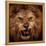 Close-Up Shot Of Roaring Lion-NejroN Photo-Framed Premier Image Canvas