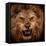 Close-Up Shot Of Roaring Lion-NejroN Photo-Framed Premier Image Canvas