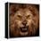 Close-Up Shot Of Roaring Lion-NejroN Photo-Framed Premier Image Canvas