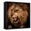Close-Up Shot of Roaring Lion-NejroN Photo-Framed Premier Image Canvas