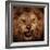 Close-Up Shot Of Roaring Lion-NejroN Photo-Framed Photographic Print