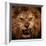 Close-Up Shot Of Roaring Lion-NejroN Photo-Framed Photographic Print