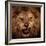 Close-Up Shot Of Roaring Lion-NejroN Photo-Framed Photographic Print