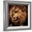 Close-Up Shot of Roaring Lion-NejroN Photo-Framed Photographic Print