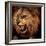 Close-Up Shot of Roaring Lion-NejroN Photo-Framed Photographic Print