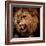 Close-Up Shot of Roaring Lion-NejroN Photo-Framed Photographic Print