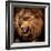 Close-Up Shot of Roaring Lion-NejroN Photo-Framed Photographic Print