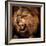 Close-Up Shot of Roaring Lion-NejroN Photo-Framed Photographic Print