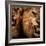 Close-Up Shot Of Two Roaring Lion-NejroN Photo-Framed Photographic Print