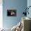 Close-Up View of a Lionfish, Curacao-Stocktrek Images-Framed Premier Image Canvas displayed on a wall