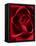 Close-up View of Red Rose-Clive Nichols-Framed Premier Image Canvas