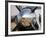 Close-Up View of the Propeller of an Iraqi Air Force T-6 Texan Trainer Aircraft-null-Framed Photographic Print