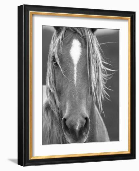 Close Up-Sally Linden-Framed Photographic Print