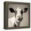 Close Upon a Cows Face-Mark Gemmell-Framed Premier Image Canvas