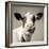 Close Upon a Cows Face-Mark Gemmell-Framed Photographic Print