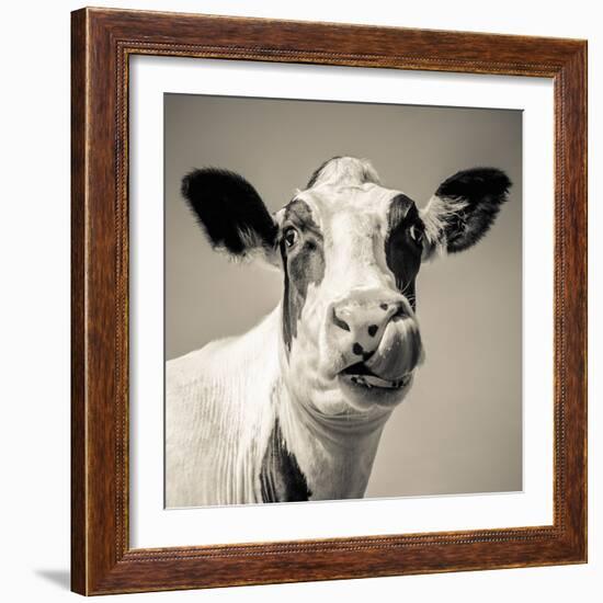 Close Upon a Cows Face-Mark Gemmell-Framed Photographic Print