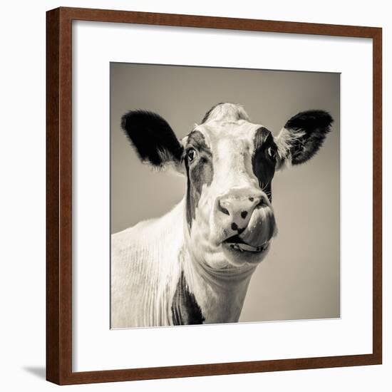 Close Upon a Cows Face-Mark Gemmell-Framed Photographic Print