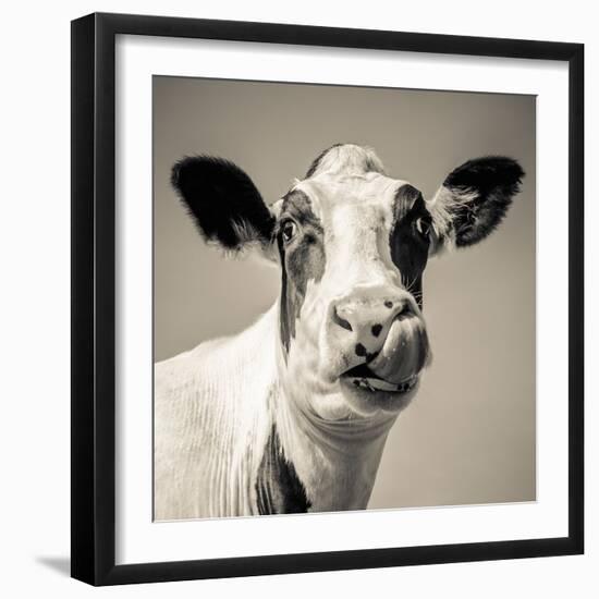 Close Upon a Cows Face-Mark Gemmell-Framed Photographic Print