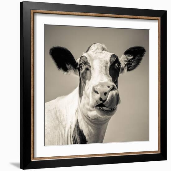 Close Upon a Cows Face-Mark Gemmell-Framed Photographic Print