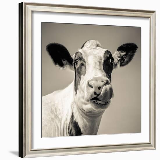 Close Upon a Cows Face-Mark Gemmell-Framed Photographic Print