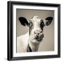 Close Upon a Cows Face-Mark Gemmell-Framed Photographic Print