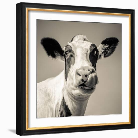 Close Upon a Cows Face-Mark Gemmell-Framed Photographic Print