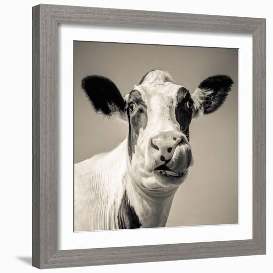 Close Upon a Cows Face-Mark Gemmell-Framed Premium Photographic Print