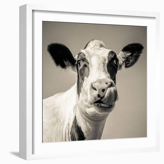 Close Upon a Cows Face-Mark Gemmell-Framed Premium Photographic Print