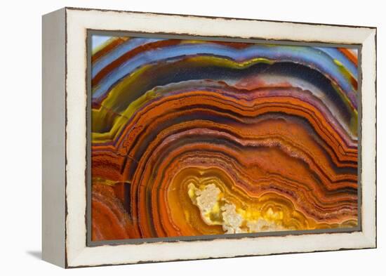 Close Ups of Fortification on Crazy Lace Agate-Darrell Gulin-Framed Premier Image Canvas