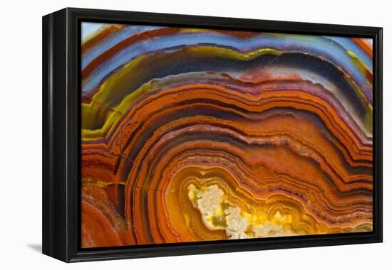 Close Ups of Fortification on Crazy Lace Agate-Darrell Gulin-Framed Premier Image Canvas