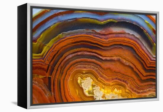 Close Ups of Fortification on Crazy Lace Agate-Darrell Gulin-Framed Premier Image Canvas