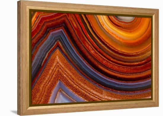 Close Ups of Fortification on Crazy Lace Agate-Darrell Gulin-Framed Premier Image Canvas