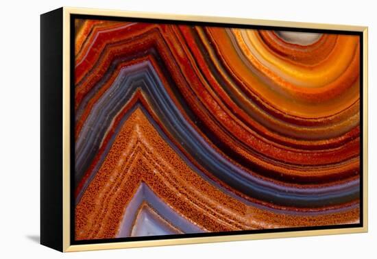 Close Ups of Fortification on Crazy Lace Agate-Darrell Gulin-Framed Premier Image Canvas