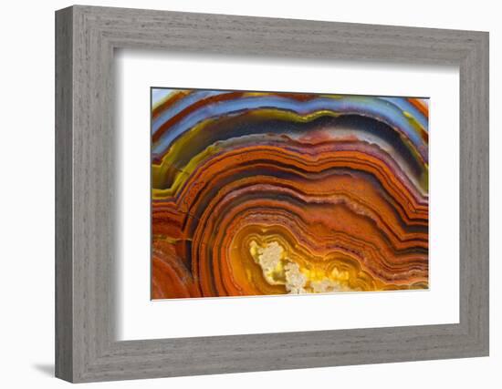 Close Ups of Fortification on Crazy Lace Agate-Darrell Gulin-Framed Photographic Print