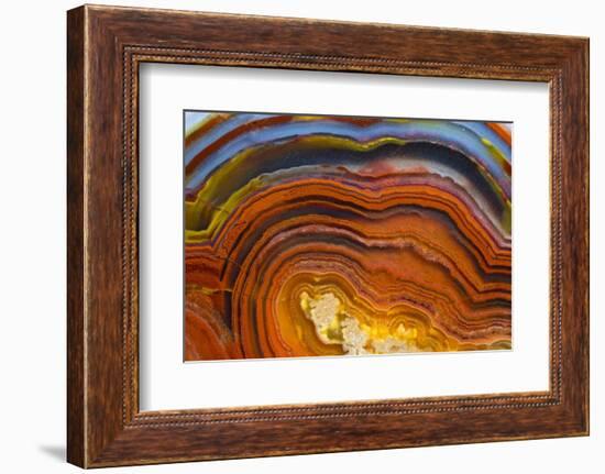 Close Ups of Fortification on Crazy Lace Agate-Darrell Gulin-Framed Photographic Print