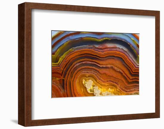 Close Ups of Fortification on Crazy Lace Agate-Darrell Gulin-Framed Photographic Print