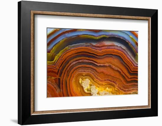 Close Ups of Fortification on Crazy Lace Agate-Darrell Gulin-Framed Photographic Print