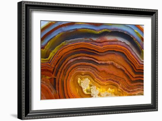 Close Ups of Fortification on Crazy Lace Agate-Darrell Gulin-Framed Photographic Print