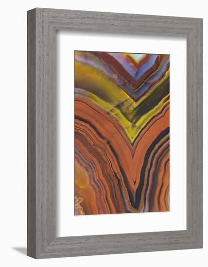 Close Ups of Fortification on Crazy Lace Agate-Darrell Gulin-Framed Photographic Print