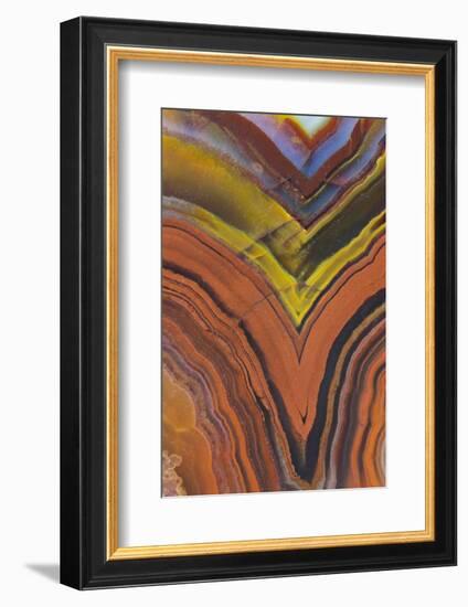 Close Ups of Fortification on Crazy Lace Agate-Darrell Gulin-Framed Photographic Print