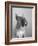 Close View of a Boxer-Bettmann-Framed Photographic Print