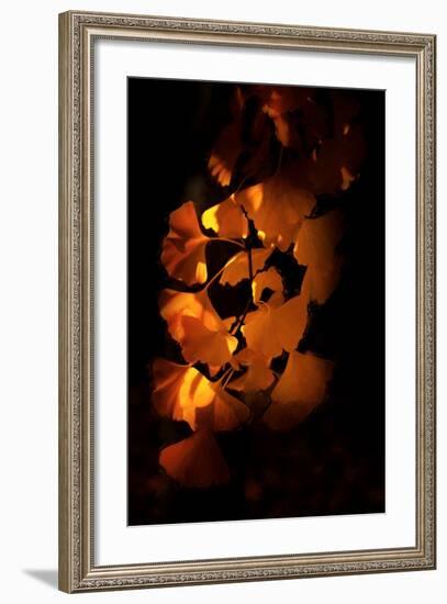 Close Your Eyes-Philippe Sainte-Laudy-Framed Photographic Print