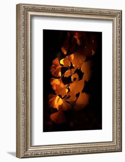 Close Your Eyes-Philippe Sainte-Laudy-Framed Photographic Print