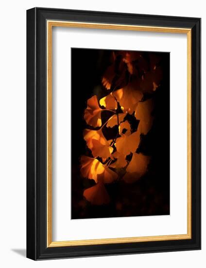 Close Your Eyes-Philippe Sainte-Laudy-Framed Photographic Print