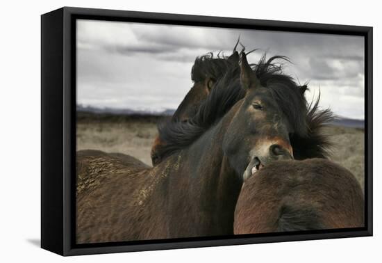 Close-Bragi Ingibergsson --Framed Premier Image Canvas