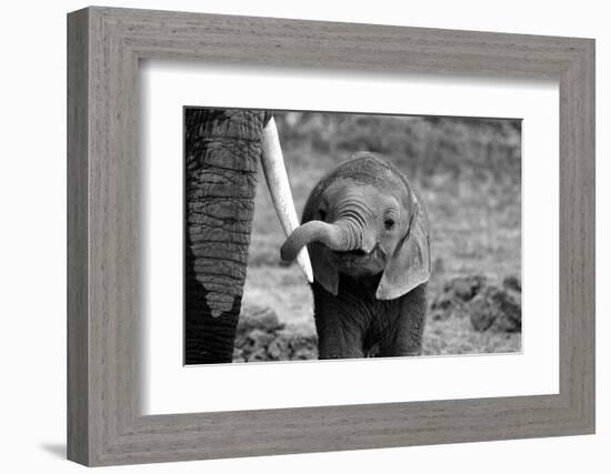 Close-Bjoern Alicke-Framed Photographic Print