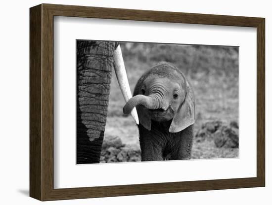 Close-Bjoern Alicke-Framed Photographic Print