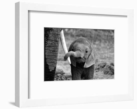 Close-Bjoern Alicke-Framed Photographic Print