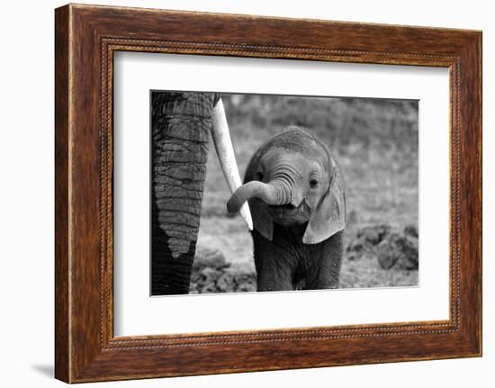 Close-Bjoern Alicke-Framed Photographic Print